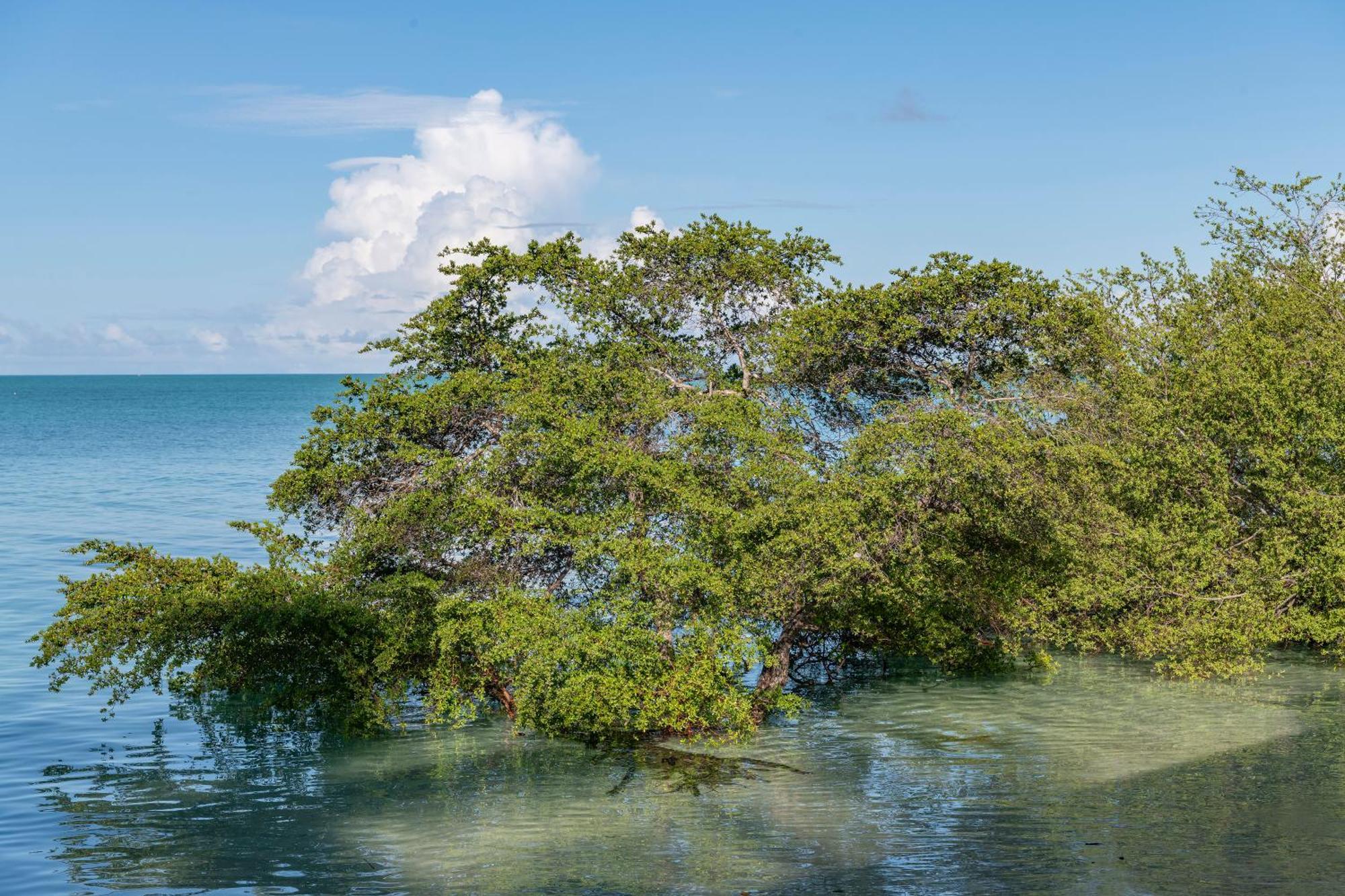 Nunukan Island Resort Maratua Island Zewnętrze zdjęcie